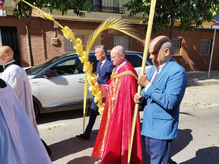 Palmas Domingo Ramos